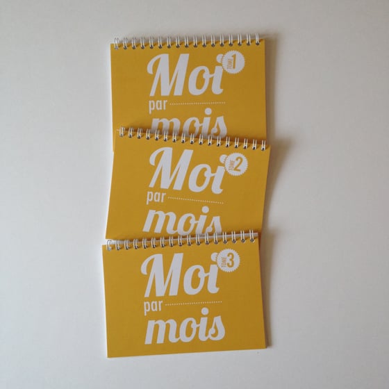 Image of Moi par mois - Trio tomes 1, 2 & 3 - De 1 mois à 3 ans
