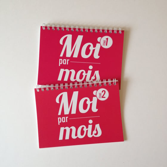 Image of Moi par mois - Duo tomes 1 & 2 - De 1 mois à 2 ans