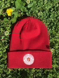 Image 1 of **Official Squirrel Census Team Member Beanie**