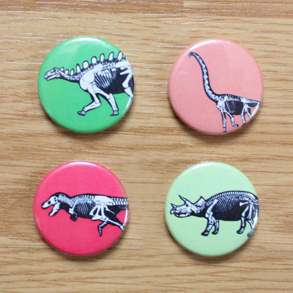Image of Dinosaur Button Badges / Pocket Mirrors