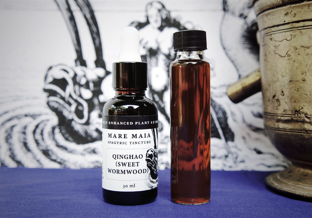 Image of QINGHAO (SWEET WORMWOOD) spagyric tincture - alchemically enhanced plant extraction