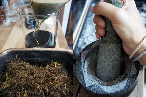 Image of QINGHAO (SWEET WORMWOOD) spagyric tincture - alchemically enhanced plant extraction