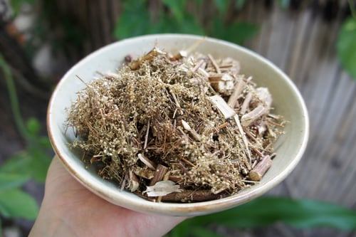 Image of QINGHAO (SWEET WORMWOOD) spagyric tincture - alchemically enhanced plant extraction