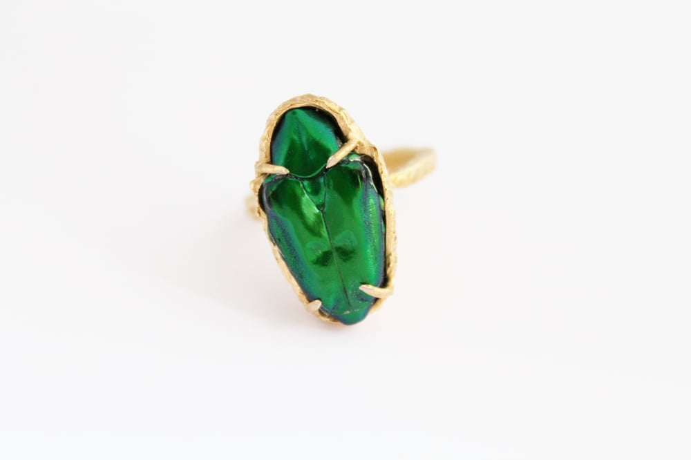 Image of Greenovant Large Hammered ring ( Made to order)