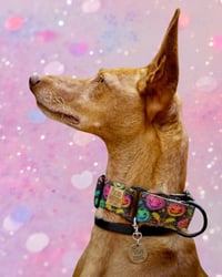 Image 3 of Custom | Martingale 40mm