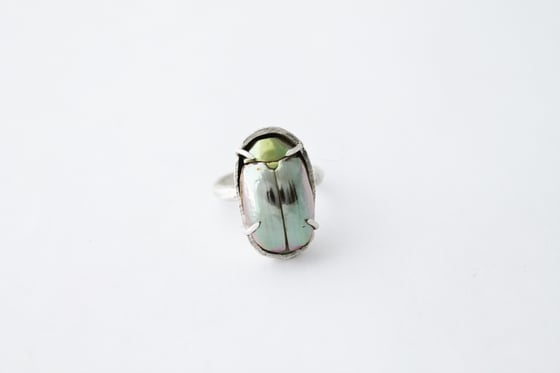 Image of Cosmos Full Silver Ring