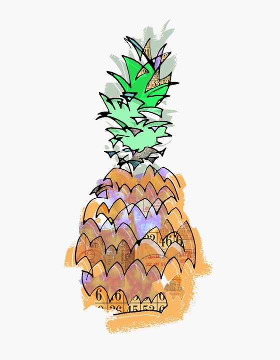 Image of Abacaxi Pineapple