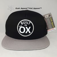 Image 3 of Built in the OX "5 Panel"