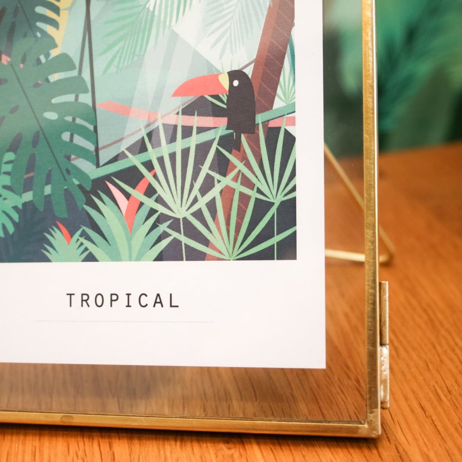 Image of Cartes postales - POOL PARTY ou TROPICAL - A6