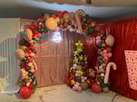Image 2 of Balloon Arch
