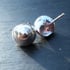 Silver Perwinkle Shell Stud Earrings Image 2