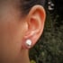 Silver Perwinkle Shell Stud Earrings Image 4