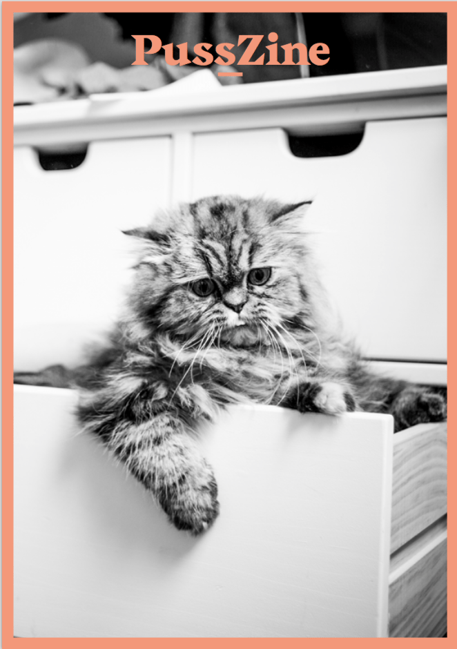 Image of PussZine