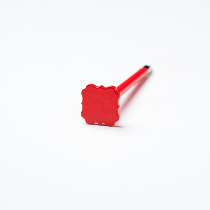 Image of the frame in coral