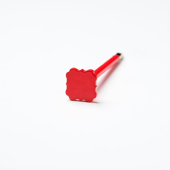 Image of the frame in coral