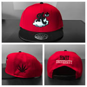 Image of 🅰➕ High Grades SnapBack