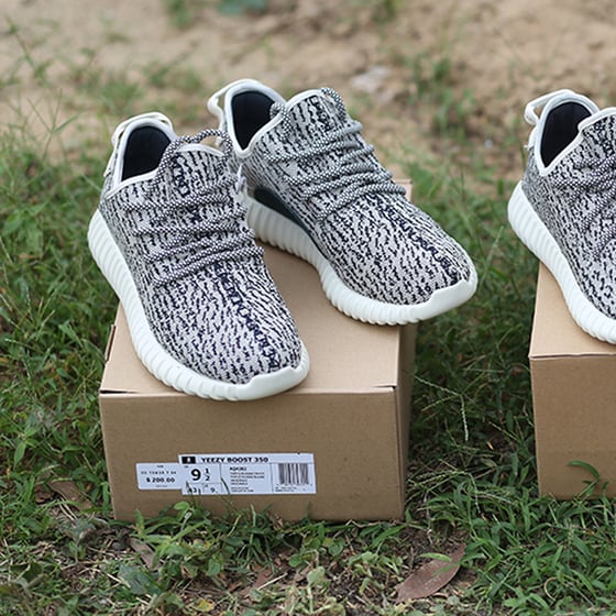 Image of Yeezy Boost 350 Turtle