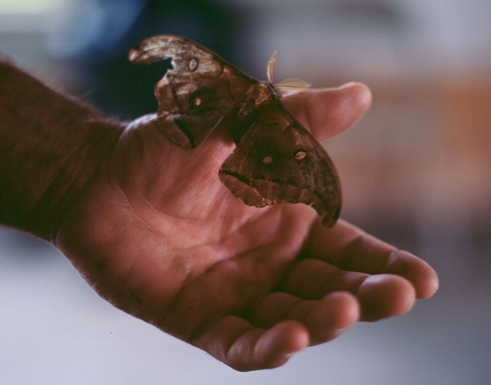 Image of Kevin Holding a Moth