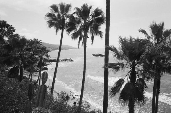 Image of Coast -  8x12 Print