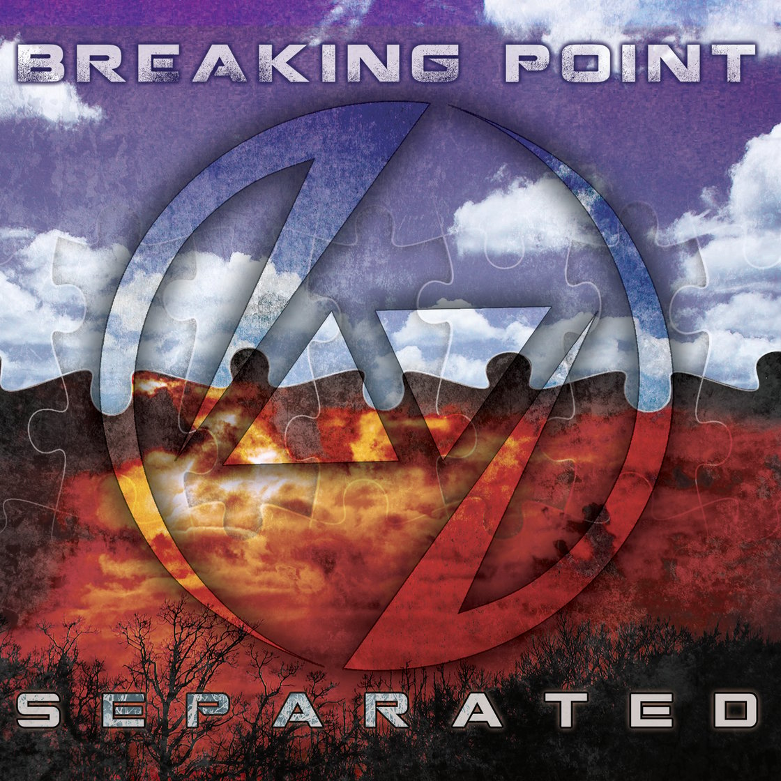 Image of Separated (Physical Copy)