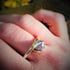 Dorset Shell Rings Image 4