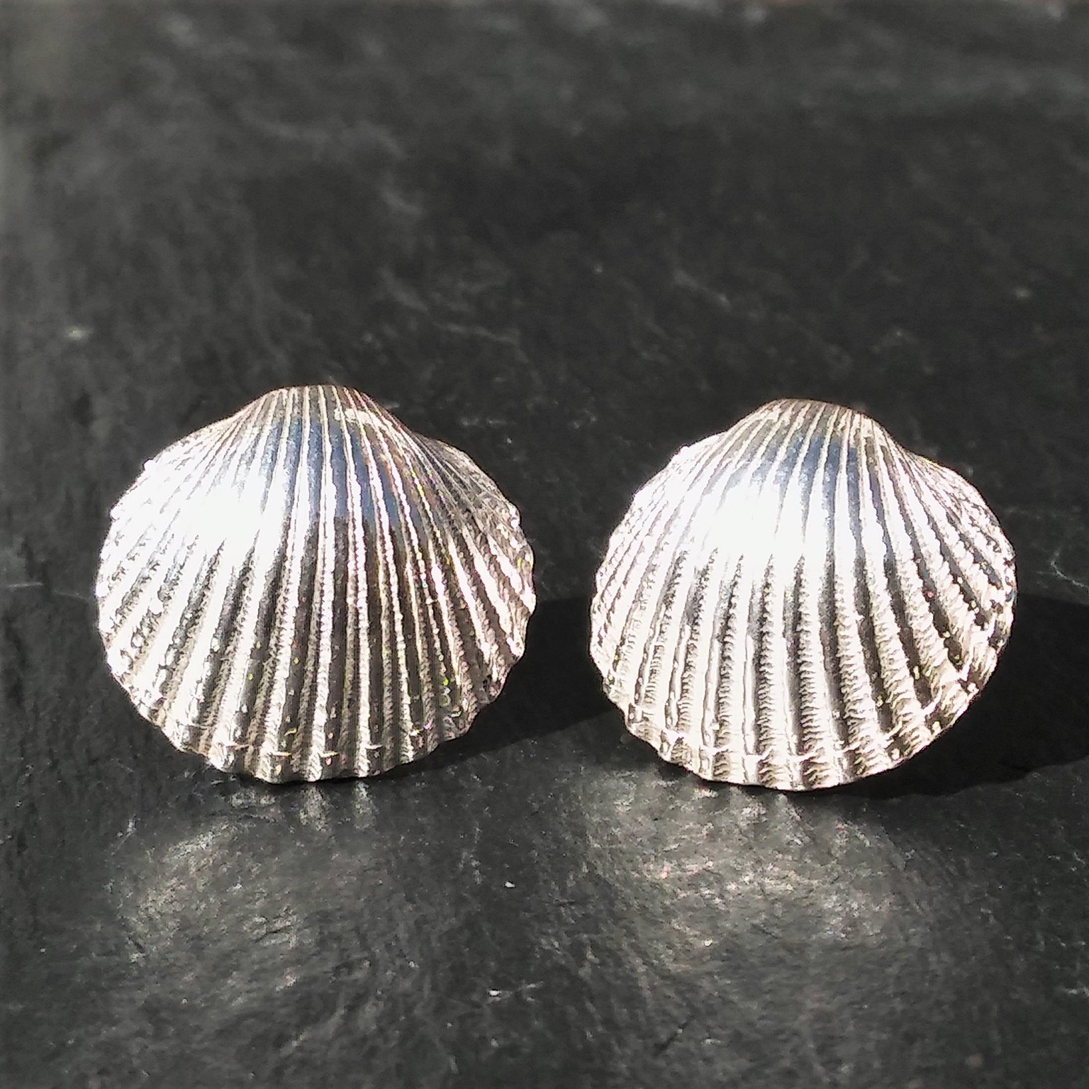 Cockle Shell Earrings | Barking Hen Jewellery