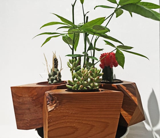 Image of Geo Planters