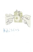 Image of Hibiscus