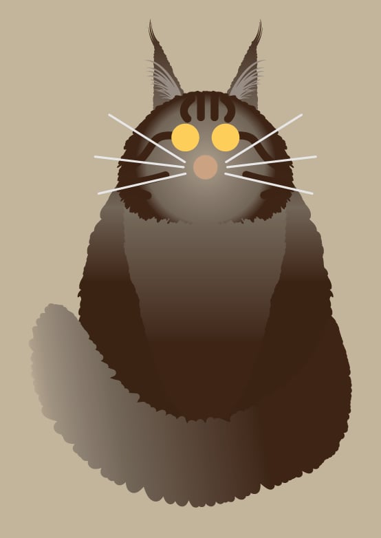 Maine Coon Cat, Torty, Pink Cat and Tux Collection