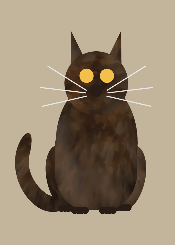 Maine Coon Cat, Torty, Pink Cat and Tux Collection