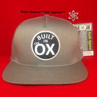 Image 4 of Built in the OX "5 Panel"