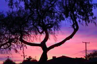 Sunset In The West (Limited Photo Print) 