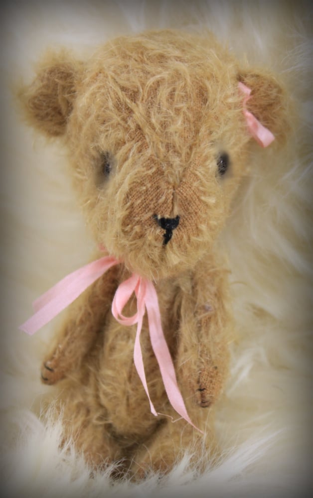 Image of Tiny Baby Bear