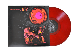 Image of Under the Spell of Joy LP (2014)