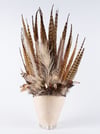White Eyes Headdress