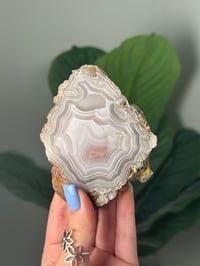 Image 1 of DOUBLE SIDED LAGUNA AGATE SLICE Q