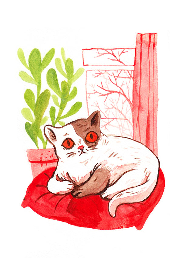 Image of Window Kitten
