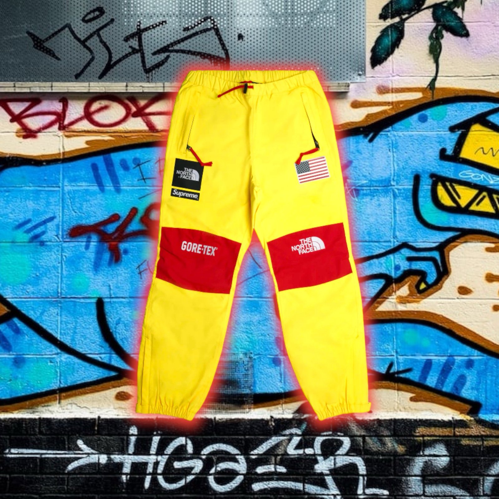 Supreme the north face clearance expedition pant