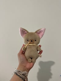 Tan Chi Baby