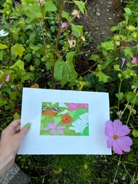 Image 2 of The Moth and the Cosmos