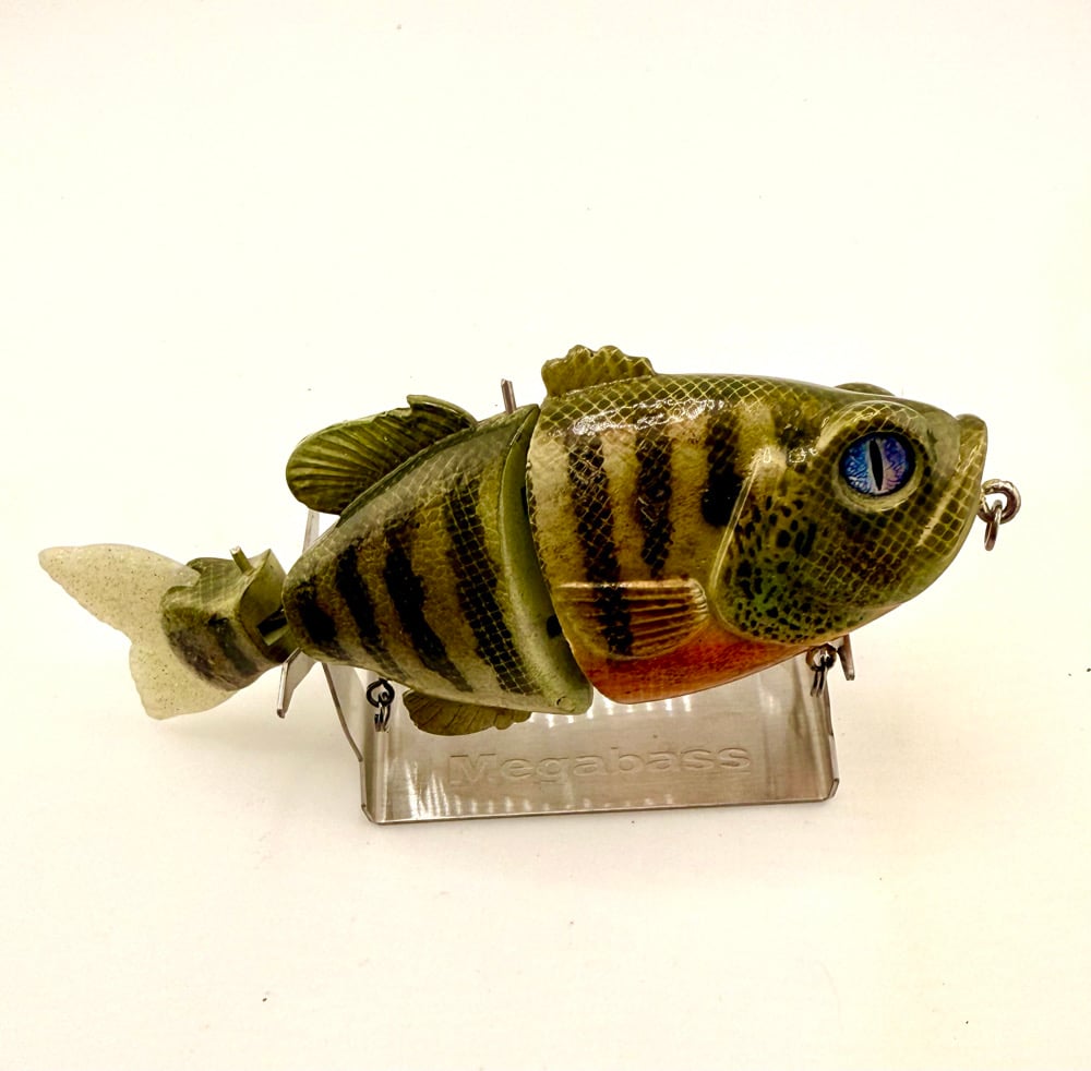 Blue Collar Gill 3 Piece Swimmer