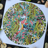 'Superb Blue Wrens' Print