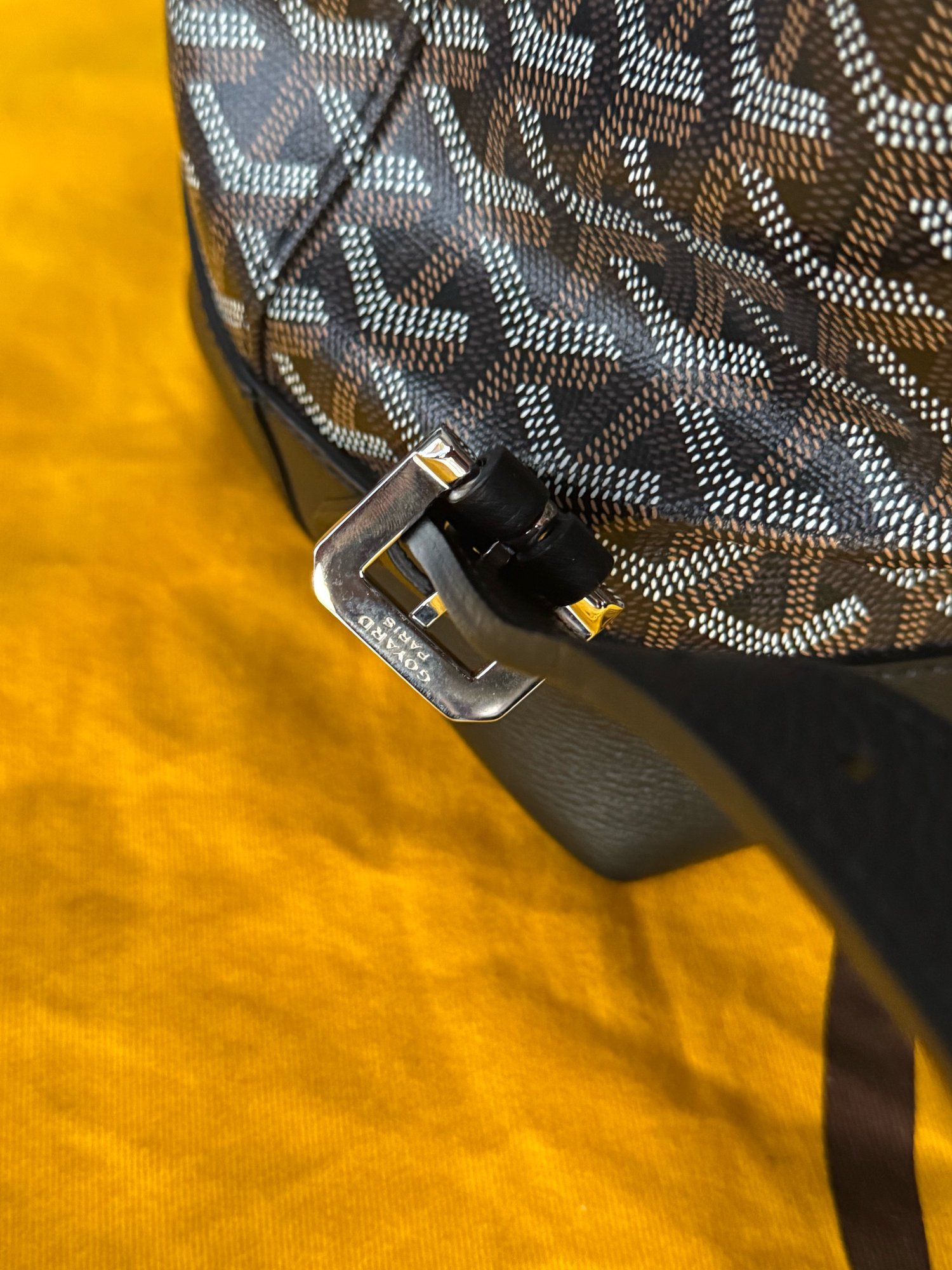 Image of Goyard Calfskin Cisalpin Backpack