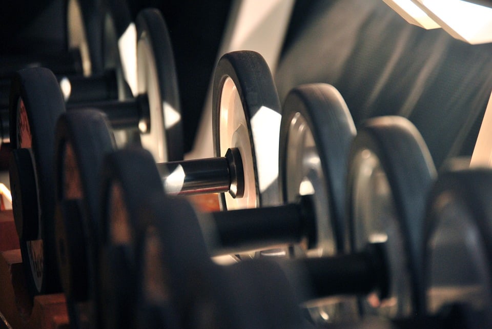 Image of Online Workout Coaching