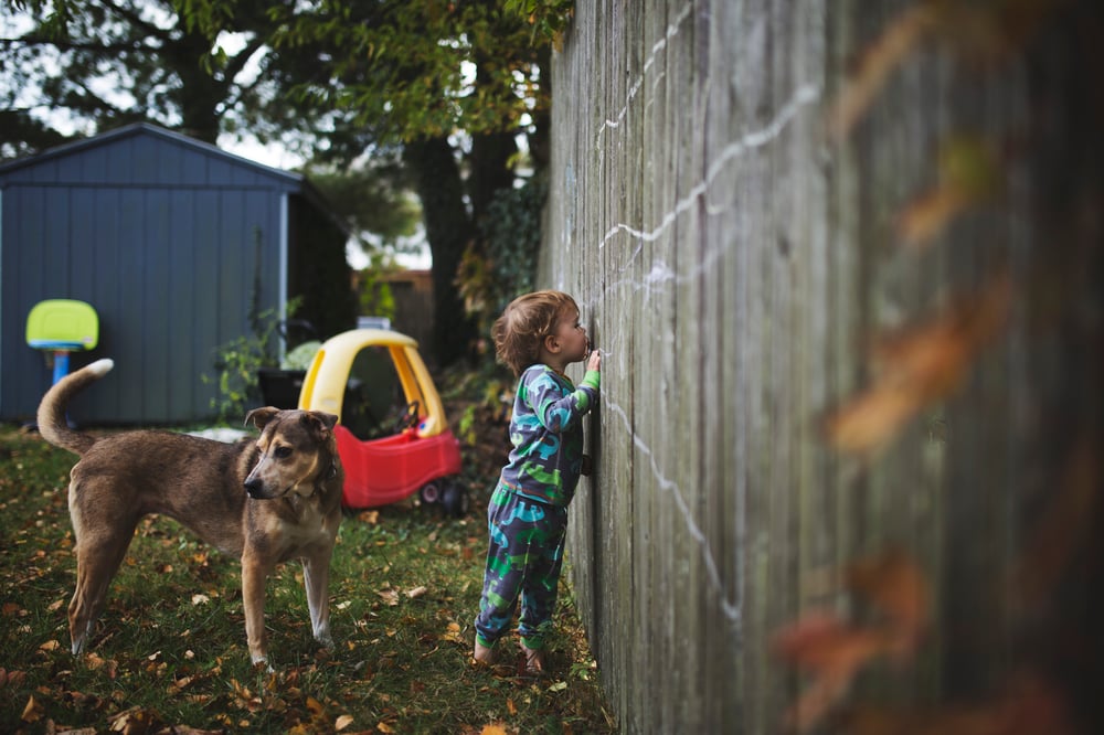Image of In Life Through Their Eyes: Documenting a Childhood They’ll Remember with Allie Wilson