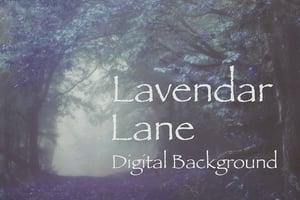 Image of Lavender Lane Digital Background