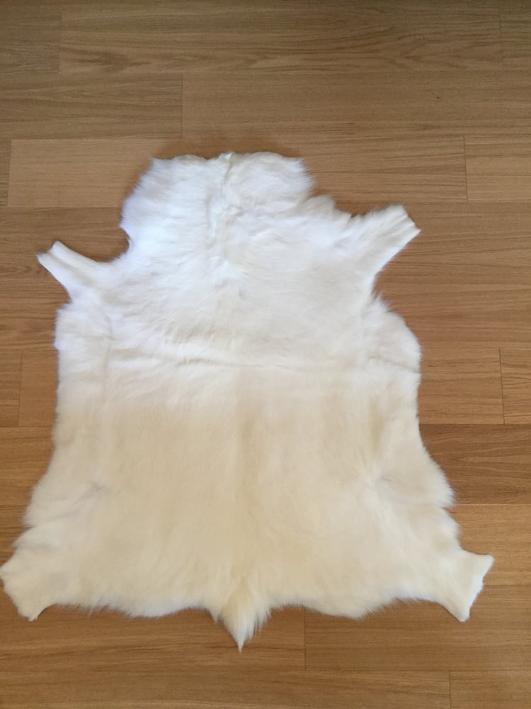 Image of ALBINO REINDEER HIDE 1637