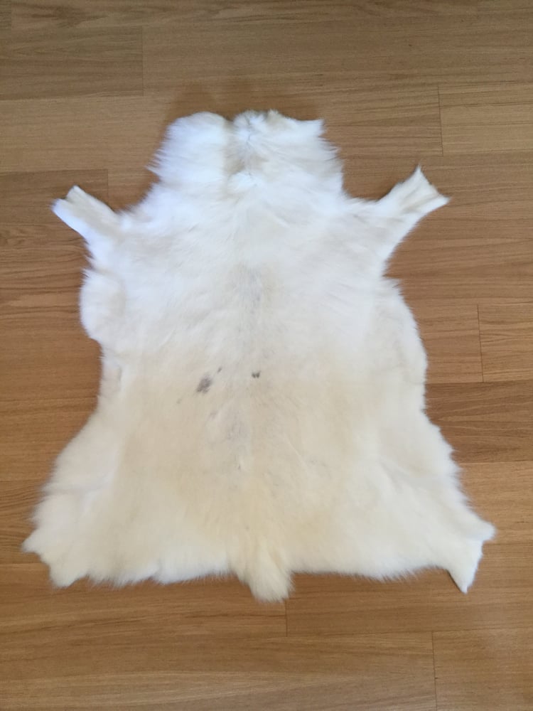 Image of ALBINO REINDEER HIDE 1635