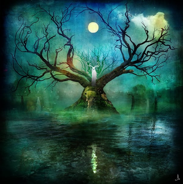 "Beanna Cornibus" - Alexander Jansson Shop