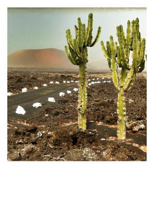 Image of Postcard 18